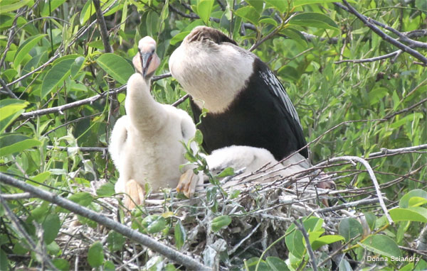 Mother and Child by Donna Sciandra